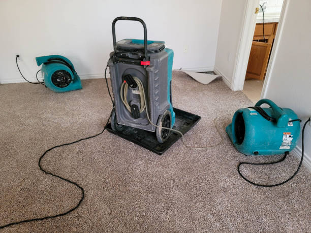 Professional Water damage restoration in Vandenberg Af, CA