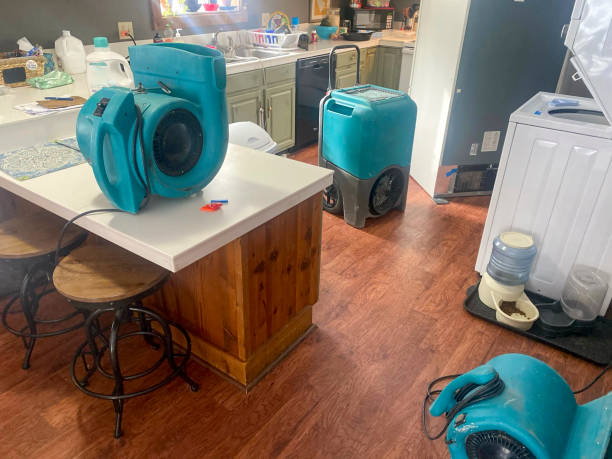 Best Water damage restoration near me  in Vandenberg Af, CA