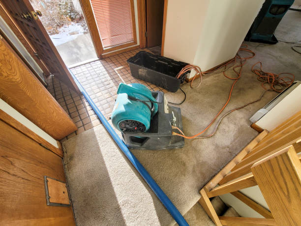 Best Ceiling water damage repair  in Vandenberg Af, CA