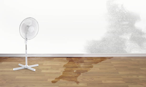Best Mold removal after water damage  in Vandenberg Af, CA