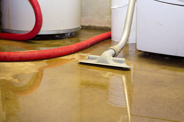Best Water damage restoration near me  in Vandenberg Af, CA