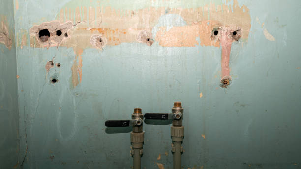 Best 24/7 water damage repair  in Vandenberg Af, CA