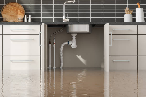Best Water damage contractors near me  in Vandenberg Af, CA
