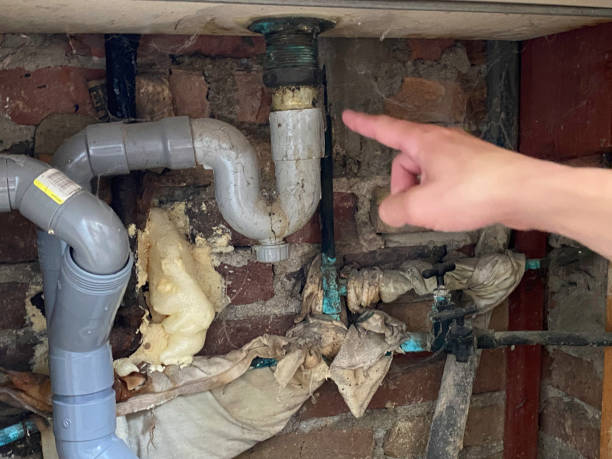 Best Flood damage cleanup  in Vandenberg Af, CA