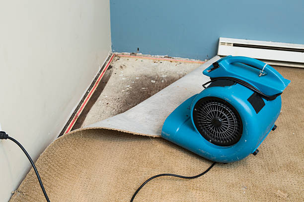 Best Water damage mitigation services  in Vandenberg Af, CA